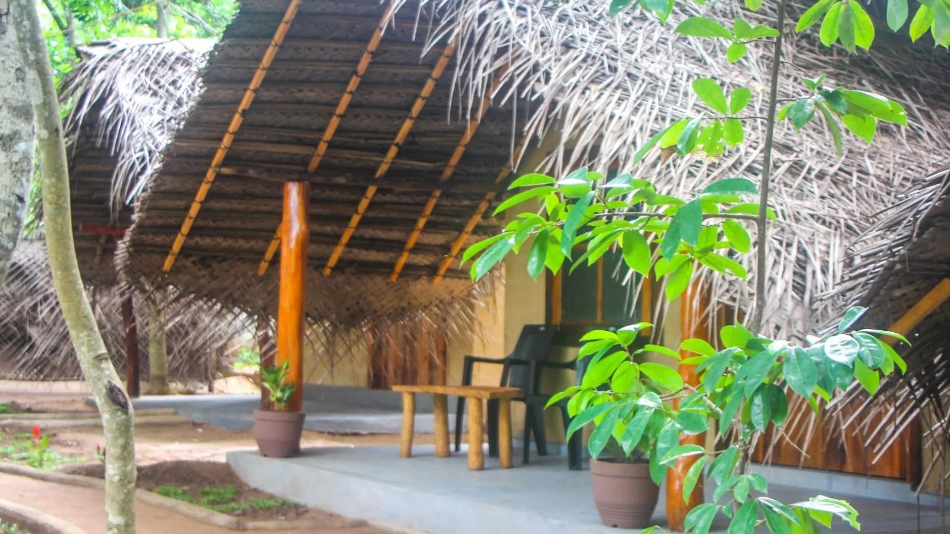Jungle Host Hostel Sigiriya Sri Lanka