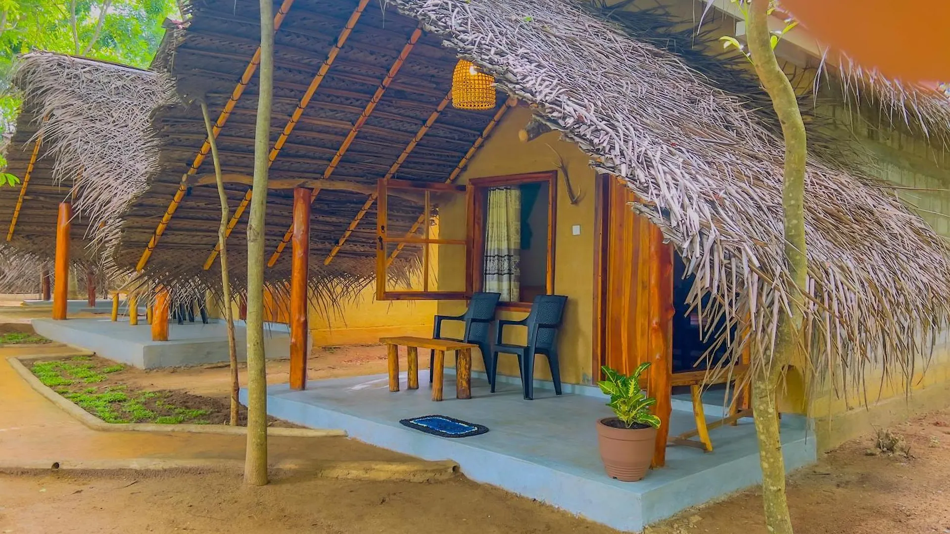 Jungle Host Hostel Sigiriya Sri Lanka