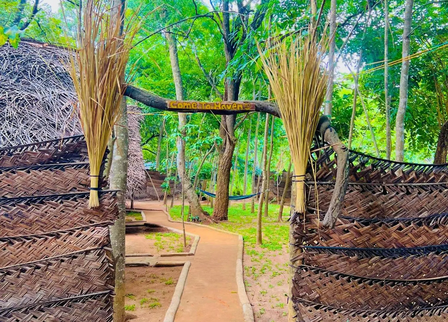 Jungle Host Hostel Sigiriya Sri Lanka