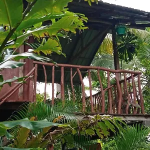 Sigiri Panaromic Tree House Sigiriya