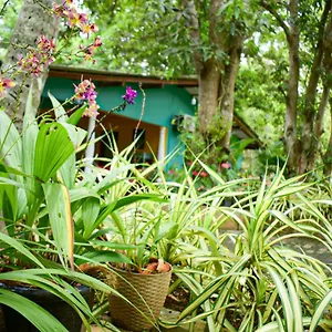 Palitha Sigirija
