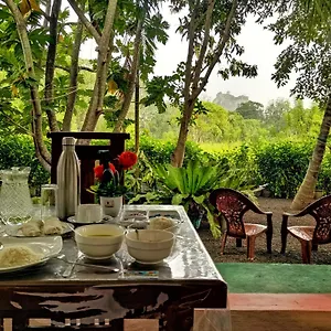 Palace View Sigiriya