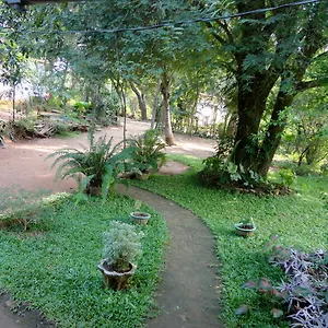 Sigiri Neo Sigiriya